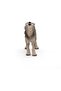 Howling Wolf Figure, Multicolor - 5