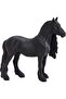 Friesian Gelding - 2