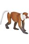 Proboscis Monkey Realistic Hand-Painted Wildlife Toy Figurine