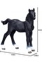 Hanoverian Foal Black Realistic Hand-Painted Horse Figurine - 6