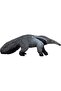 Giant Anteater