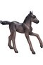 - Animal Planet Arabian Foal, Black (381015) - 2