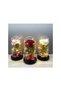 Enchanted Rose in Glass Dome – Gift for Women, Girlfriend, Valentine’s Day, Mother’s Day, Christmas - 4