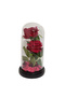 2 Red Roses in Glass Dome with LED Lights – Romantic Rose Gift with Warm Light - 3