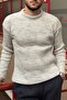 Crew Neck, Winter-Spring, Striped, Textured, Basic Knit Sweater 25Pltk17 - 3