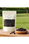 Freeze Dried Mulberry | Antioxidant-Rich Crunchy Super Fruit Snack | Premium Quality (500g)