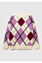 Women's Purple Mix Wool Blend Argyle Pattern Ribbed Detailed V-Neck Sweater - 4