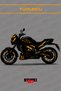 Dominar 400-250 Full Body Motorcycle Decal Sticker Covering Set (Foil Cut)