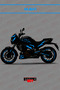 Dominar 400-250 Full Body Motorcycle Decal Sticker Covering Set (Foil Cut)