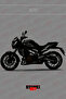 Dominar 400-250 Full Body Motorcycle Decal Sticker Covering Set (Foil Cut)
