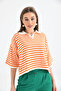 Women's Polo Neck Short Sleeve Striped Knit Sweater 10097 - 6