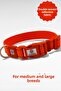 Reflective Dog Collar, Large and Medium Breed Dog Collar, Dog Neck Collar
