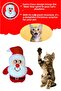 Santa Claus Plush Cat Toy with Rattle Sound – New Year's Special Design Gift Package - 3