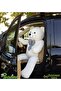 Giant Large Plush Teddy Bear 170 Cm Gift Bear (100% Domestic) White