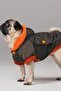 Forest Khaki Waterproof Small Breed Dog Coat, Winter Dog Clothing - 2