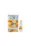Spark Perfume Oil Roll-On for Men - 6ml (Pack of 6) - 3