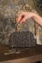 Women's Platinum Stone Evening Dress Clutch Portfolio Bag - 2
