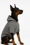 Cat-Dog Outfit Gray Hoodie - Large Breed