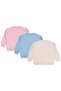 Rabbit Printed Set of 3 Sweatshirts for Ages 2-5 - Standard 5-6 Years - 5