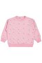 Rabbit Printed Set of 3 Sweatshirts for Ages 2-5 - Standard 5-6 Years - 3