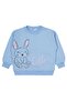 Rabbit Printed Set of 3 Sweatshirts for Ages 2-5 - Standard 5-6 Years - 4