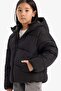 Girl's Coat C5389A8/Bk27