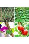 OneDcor Bamboo Plant Support Stakes – 100cm, 10 PCs - 7