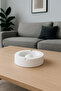 Ashtray - 2
