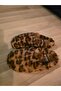 Zenne Towel-Like Gondola House Slippers Brown - 3