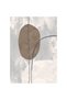 Sahara Modern Abstracts Rug Area Rug Floor Covering 240x340cm-Brown 231200400585 - 4
