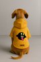 Printed Dog and Cat Clothing & Dress with Fleece Inside - Yellow Color K Hooded Hoodie Bc3E5 - 2