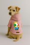 Printed Dog and Cat Clothing & Dress with Fleece Inside - Pink Color K Hooded Hoodie B17F0