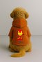 Printed Dog and Cat Clothing & Dress with Fleece Inside - Orange Color K Hooded Hoodie Bf779