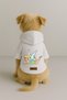 Printed Dog and Cat Clothing & Dress with Fleece Inside - White Color K Hooded Hoodie B2Adb - 2