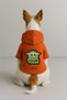 Printed Dog and Cat Clothing & Dress with Fleece Inside - Orange Color K Hooded Hoodie B5Cff - 2