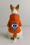 Printed Dog and Cat Clothing & Dress with Fleece Inside - Orange Color K Hooded Hoodie B280F - 2