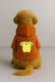 Printed Dog and Cat Clothing & Dress with Fleece Inside - Orange Color K Hooded Hoodie Bb6E2