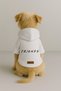 Printed Dog and Cat Clothing & Dress with Fleece Inside - White Color K Hooded Hoodie B1F28 - 2