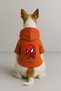 Printed Dog and Cat Clothing & Dress with Fleece Inside - Orange Color K Hooded Hoodie Bafc2 - 2
