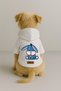 Printed Dog and Cat Clothing & Dress with Fleece Inside - White Color K Hooded Hoodie Bf963 - 2