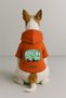 Printed Dog and Cat Clothing & Dress with Fleece Inside - Orange Color K Hooded Hoodie B7399 - 2