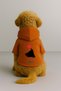 Printed Inside Fleece Dog and Cat Clothing & Dress - Orange Color K Hooded Hoodie B5875