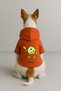 Printed Dog and Cat Clothing & Dress with Fleece Inside - Orange Color K Hooded Hoodie B7618 - 2