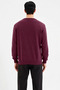 Men's Crew Neck Standard Sleeve Regular Fit Sweatshirt Functional Durable Quality Stylish - 6