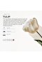 Diffuser Aroma Oil – TULIP (170ml) - 3