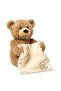 Peek A Boo Teddy Bear For kids - 3