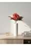 Coral Bellflower and Red Sword Special Arrangement New Year's - 5