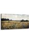 Beautiful 60x120 cm Unframed Poster with Customizable Unframed Poster Decor