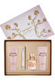 Fancy For Women Set Eau De Parfum 100ml + Eau De Parfum 10ml + Bl 90ml + Sg 90ml