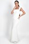 Women's Strapless Bustier Low Sleeve Lined Waistline Fishnet Fish Dress - 2